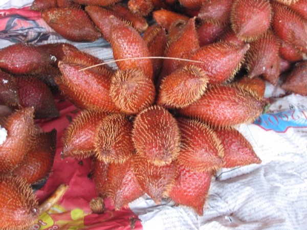 Zalacca (Rakam) auf dem Markt in Bang Niang