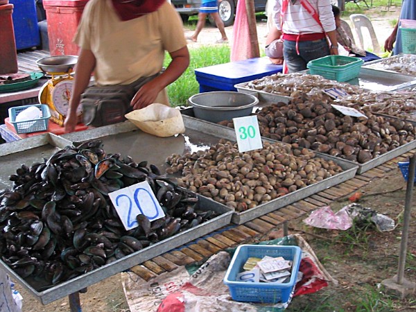 Muscheln und Meeresfrüchte - Bang Niang Market