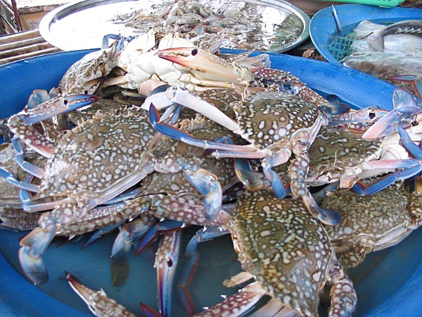 Crabs - Bang Niang Market
